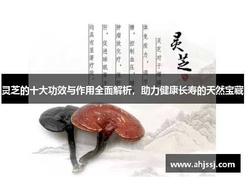 灵芝的十大功效与作用全面解析，助力健康长寿的天然宝藏