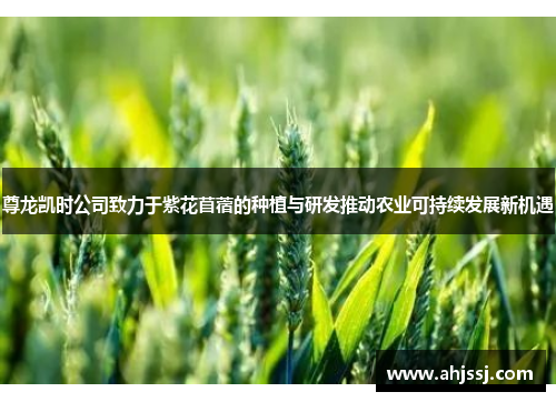 尊龙凯时公司致力于紫花苜蓿的种植与研发推动农业可持续发展新机遇